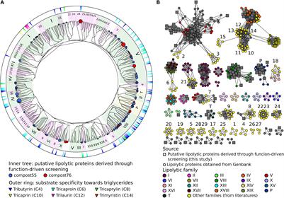 Metagenomic Screening for Lipolytic Genes Reveals an Ecology-Clustered Distribution Pattern